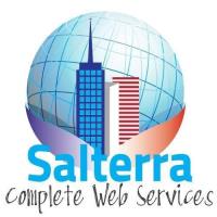 Salterra Web Design of Palestine image 1